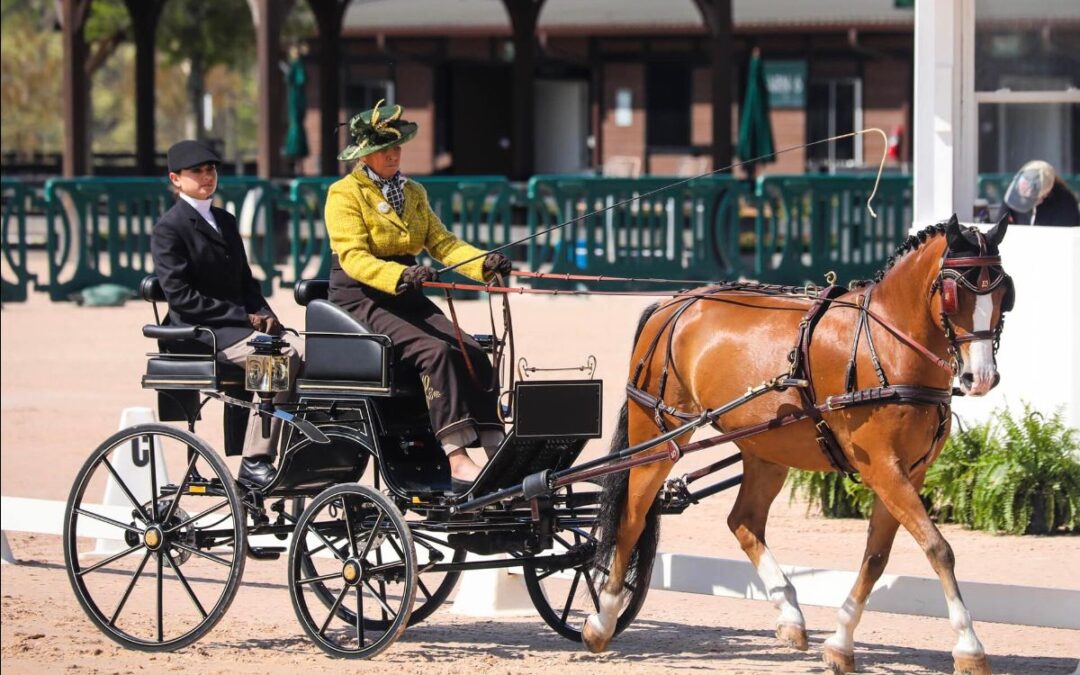 ThoroVet’s Denise Loewe to Represent the U.S. at the 2025 FEI Driving World Championships in France