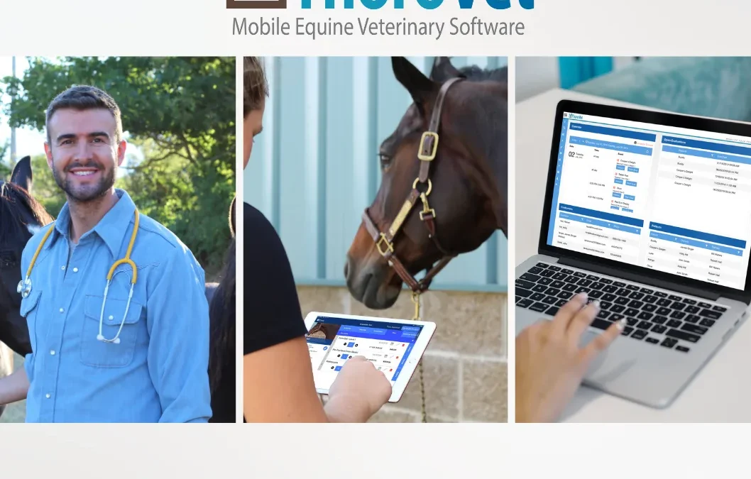How Veterinary Practice Management Software Improves Client Communication