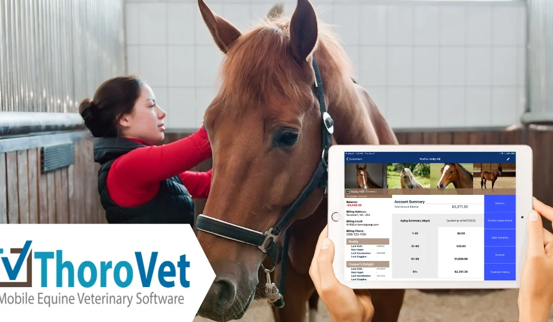 What Every Equine Vet Should Track in Their Veterinary Practice Management Software (And What Most Miss)